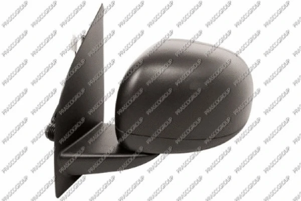 Exterior Mirror (FT1237125)