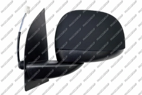 Exterior Mirror (FT1237124)