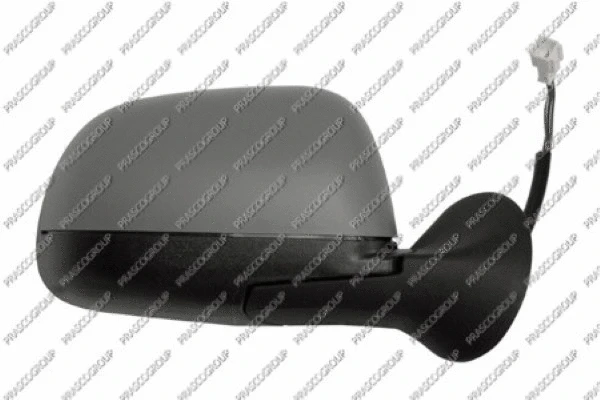 Exterior Mirror (DA8207213)