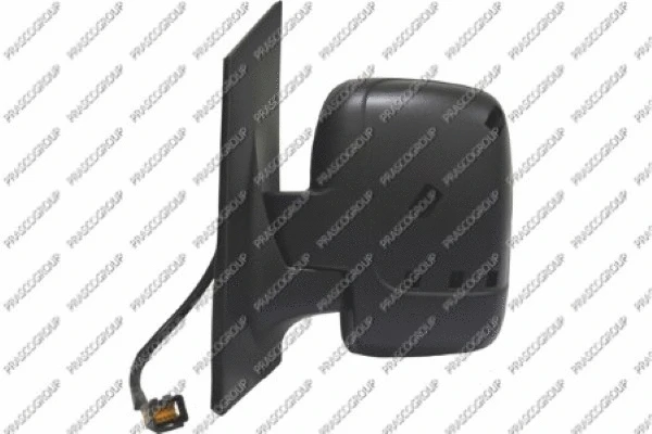 Exterior Mirror (FT9237044)