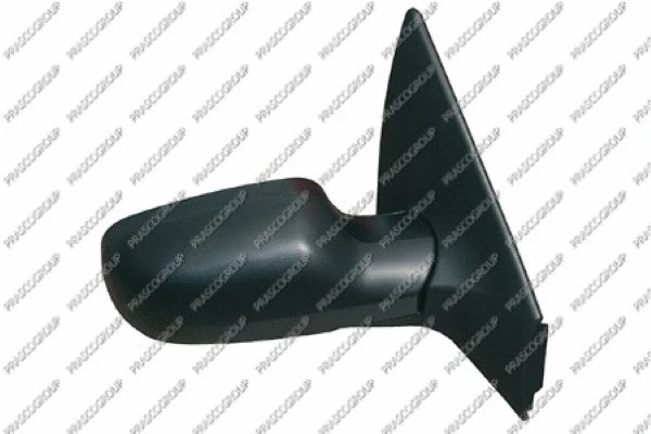 Exterior Mirror (RN4207313P)