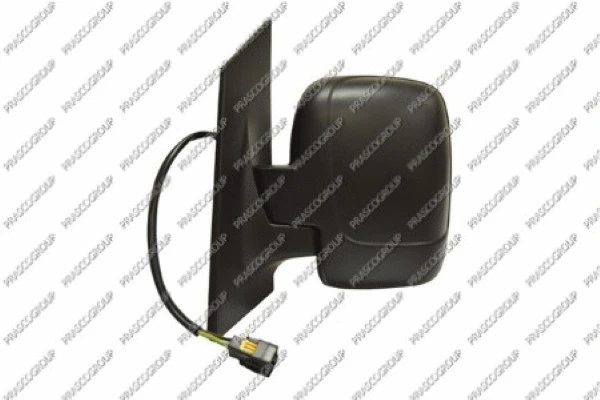 Exterior Mirror (FT9237084)