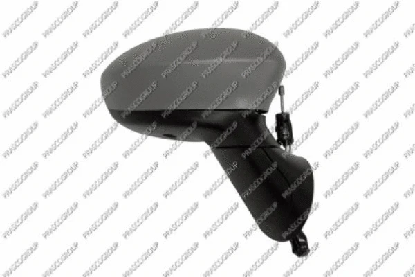 Exterior Mirror (FT0307103)