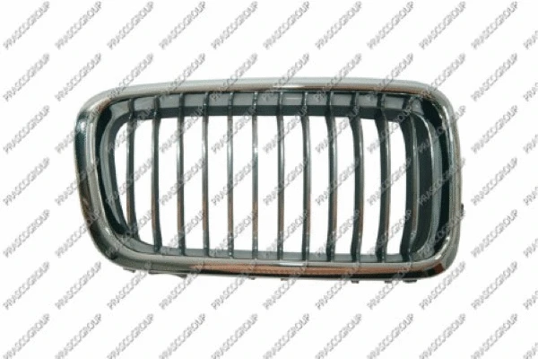 Radiator Grille (BM0982013)