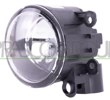 Front Fog Light (RN3324413)