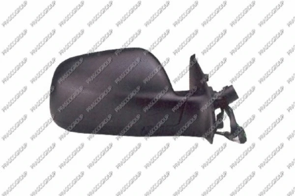 Exterior Mirror (PG4207113)
