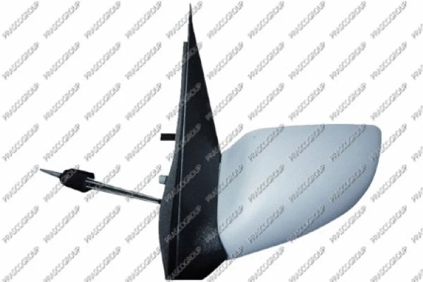 Exterior Mirror (FD0527124)