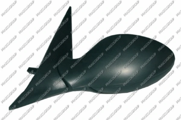 Exterior Mirror (AA0807325)