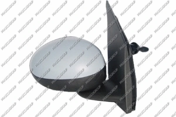 Exterior Mirror (CI2017123)