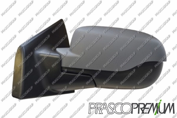 Exterior Mirror (RN3277314P)