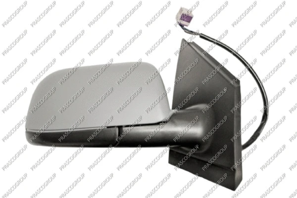 Exterior Mirror (VG0217323)