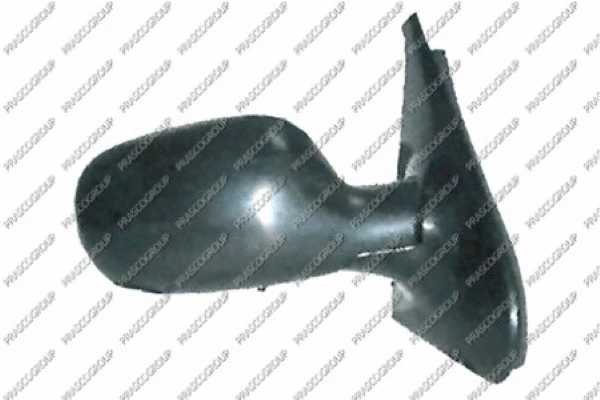 Exterior Mirror (RN3227123P)