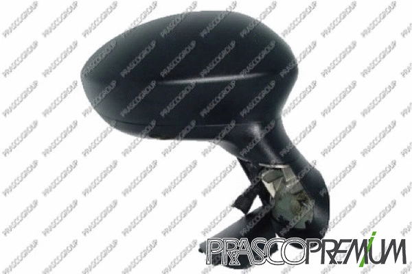 Exterior Mirror (FT3427203P)