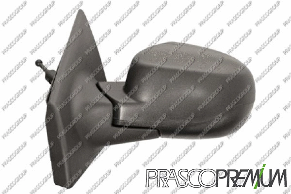 Exterior Mirror (RN3277104P)