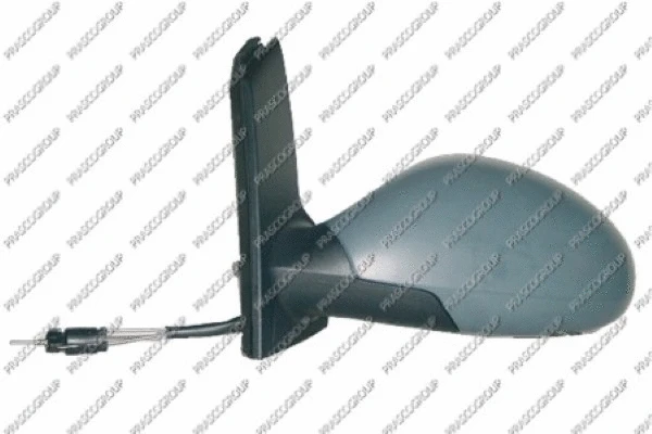 Exterior Mirror (ST3207334)