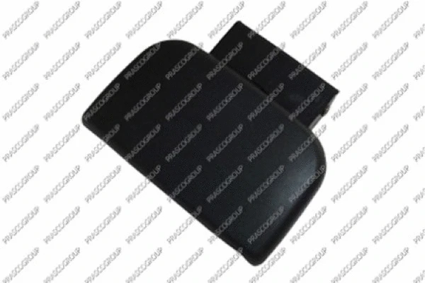 Exterior Door Handle (PG9048011)