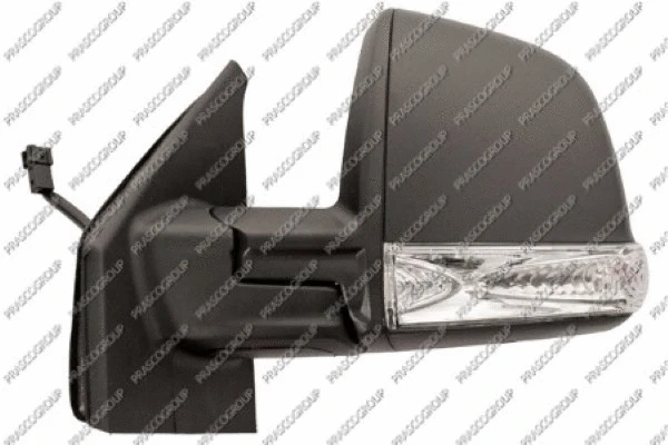 Exterior Mirror (FT9107114)