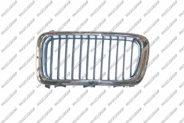 Radiator Grille (BM0972003)