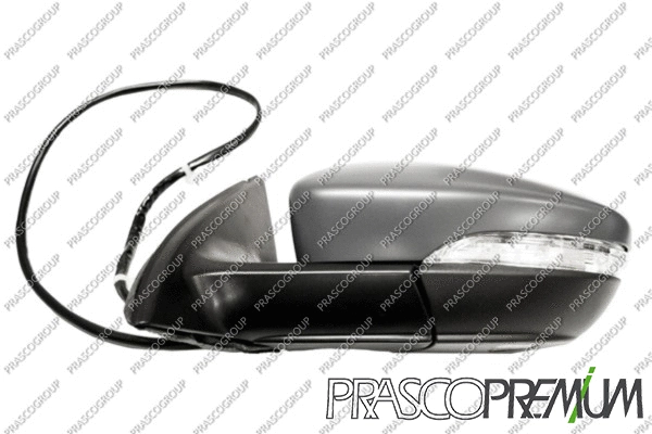 Exterior Mirror (VG5227353P)