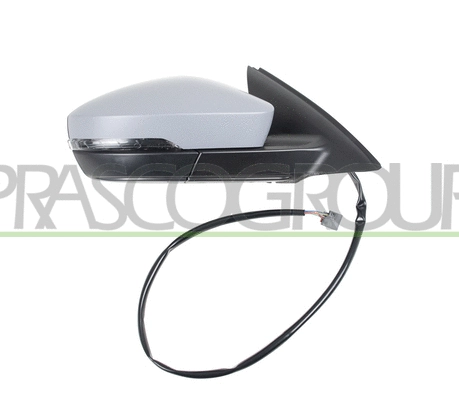 Exterior Mirror (SK0307303)