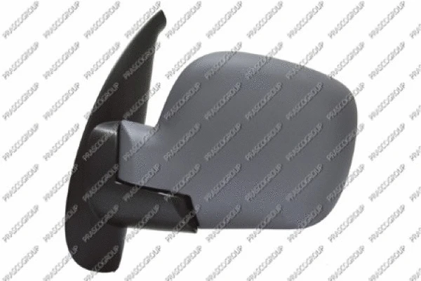 Exterior Mirror (RN9187014)
