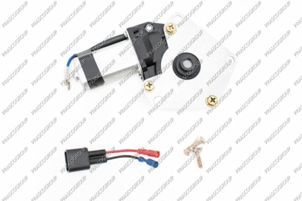 Electric Motor, window regulator (FT420W902)