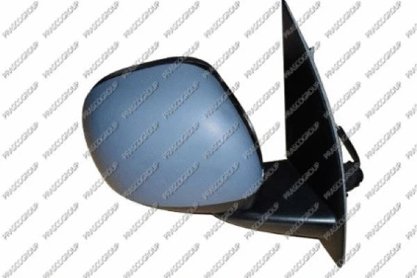 Exterior Mirror (FT1237104)