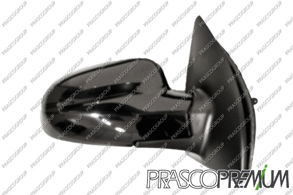 Exterior Mirror (DW3267123P)