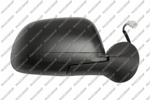 Exterior Mirror (DA8207203)