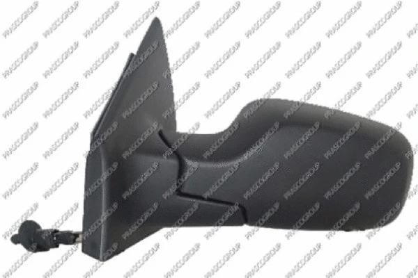 Exterior Mirror (RN3257114P)