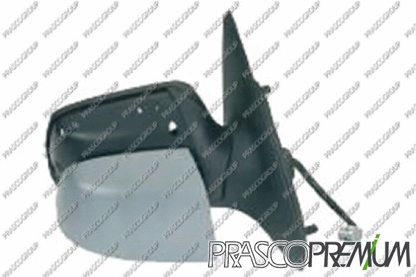 Exterior Mirror (FD1097383P)