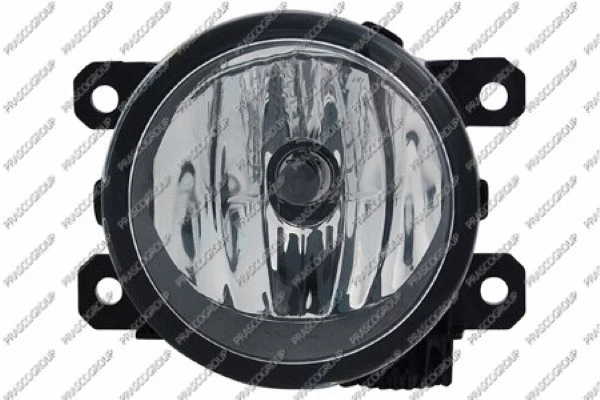 Front Fog Light (CI4274431)
