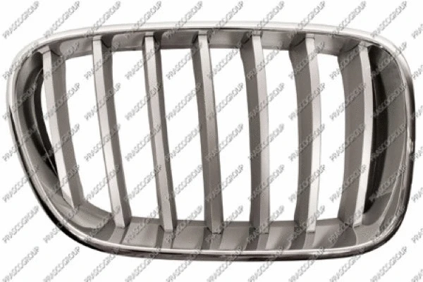 Radiator Grille (BM8042013)