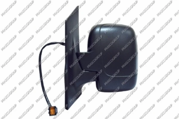 Exterior Mirror (FT9237064)