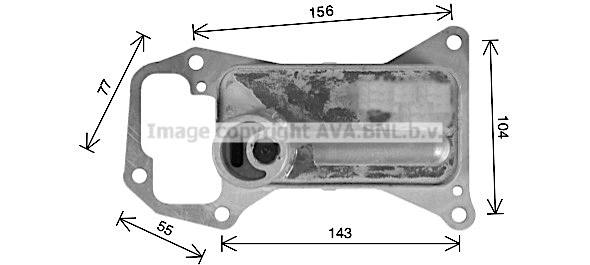 Oil Cooler, engine oil (BW3592)