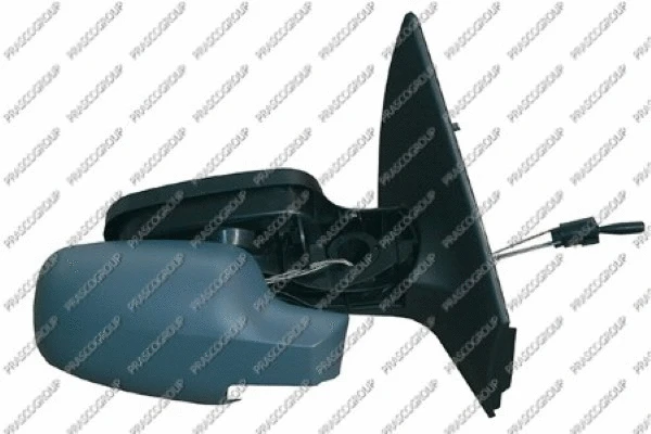Exterior Mirror (RN4207123P)