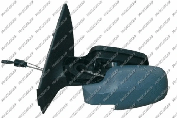 Exterior Mirror (RN4207124)