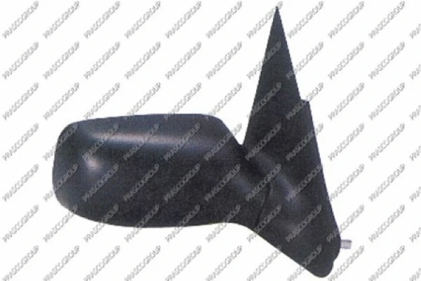 Exterior Mirror (FD1037313)