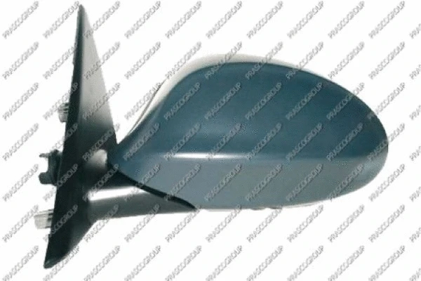 Exterior Mirror (BM0247304)