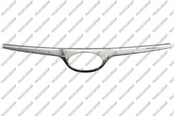 Radiator Grille (HN2002011OE)