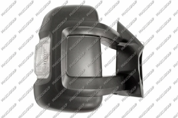 Exterior Mirror (FT9307013)