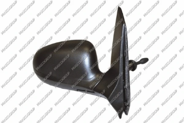 Exterior Mirror (FD0087113)