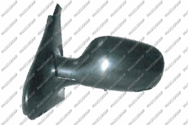 Exterior Mirror (RN3227114)