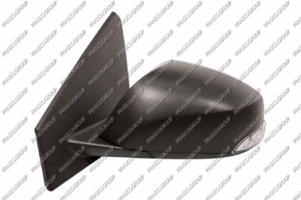 Exterior Mirror (RN4247314)