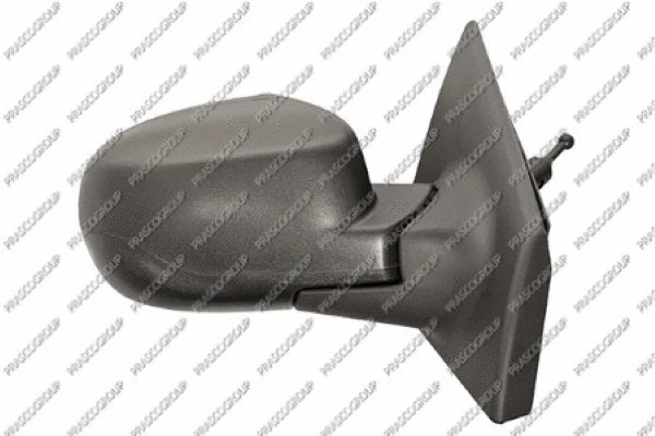 Exterior Mirror (RN3277103P)