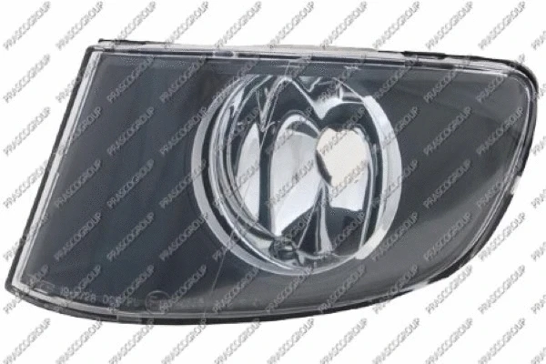 Front Fog Light (BM0254413)