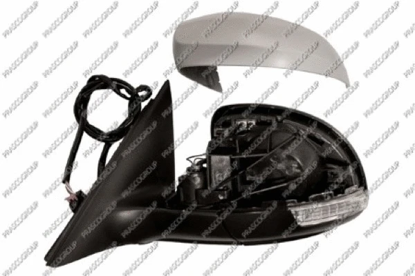 Exterior Mirror (SK7107324)