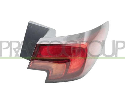 Tail Light Assembly (OP4204163)