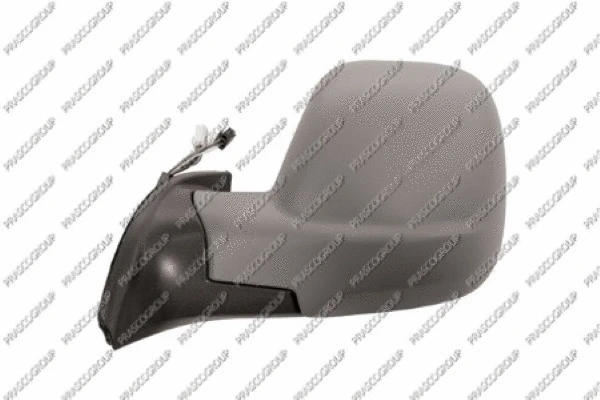Exterior Mirror (PG9107224)