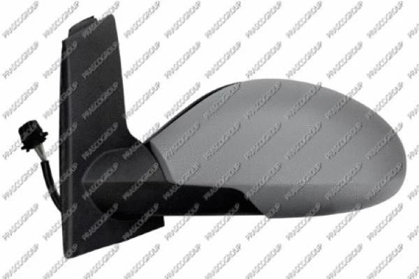 Exterior Mirror (ST5227314)